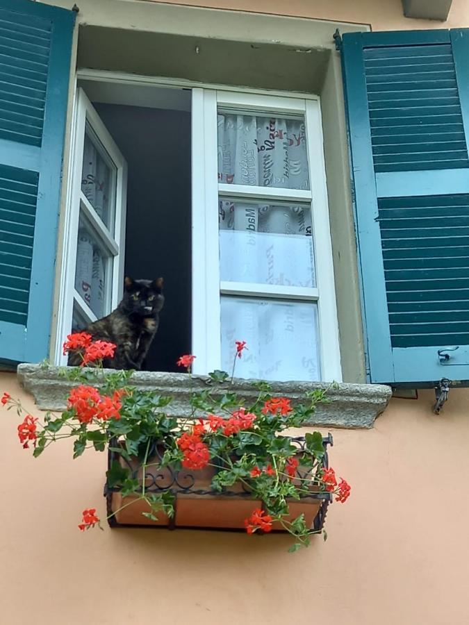 B&B Isoladelsole Perledo Екстериор снимка